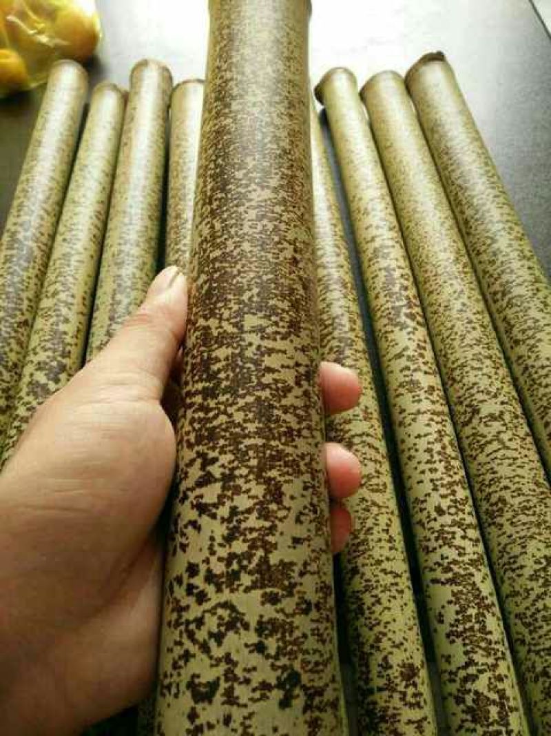 斑竹10~11m