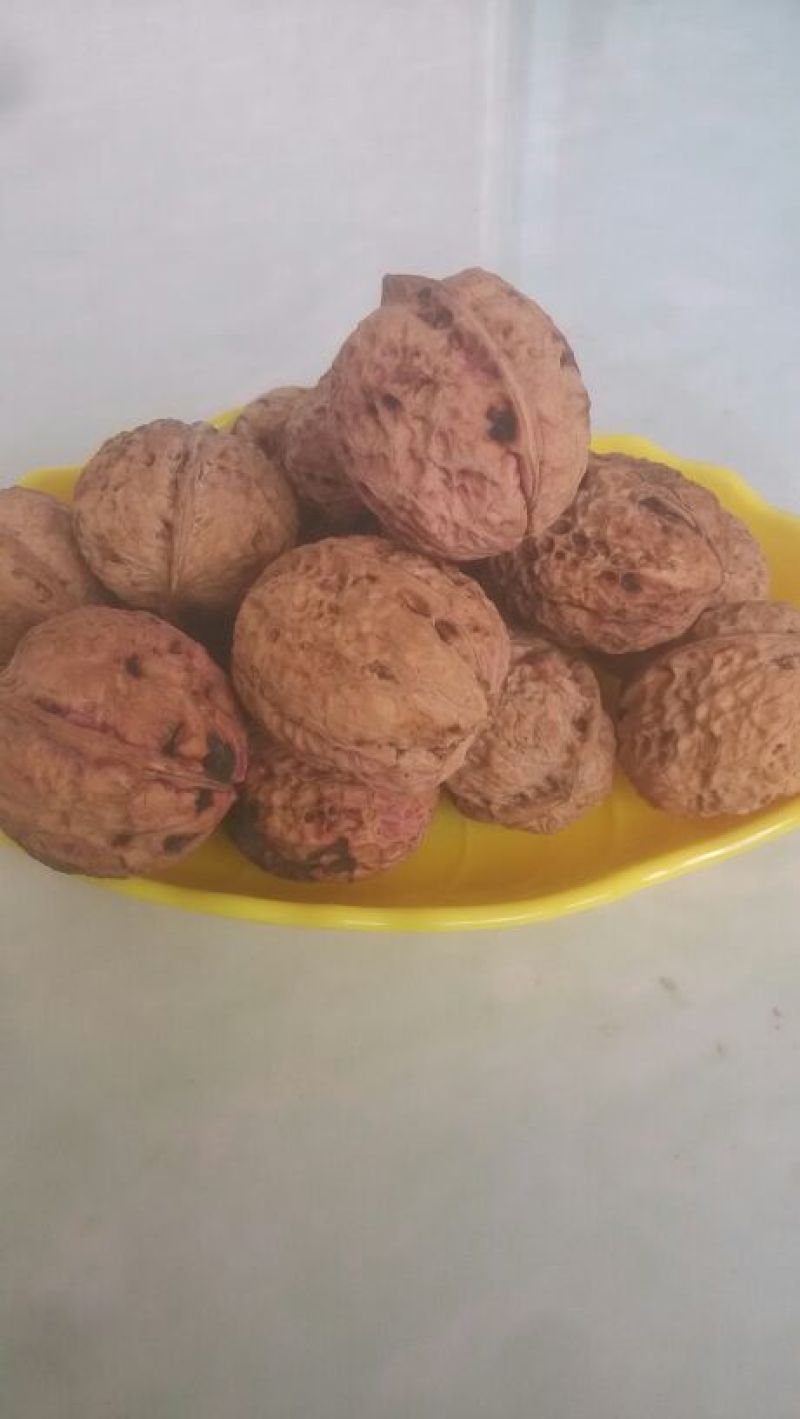 薄皮核桃