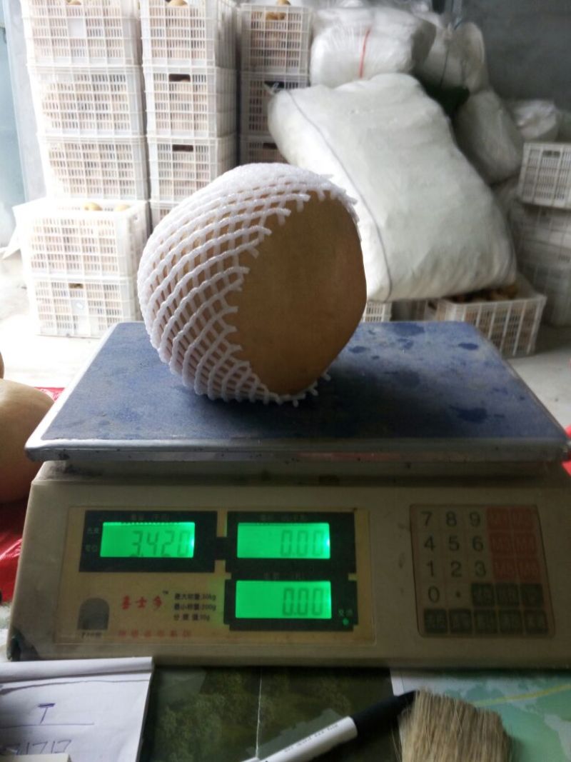 黄晶梨550~600g纸箱