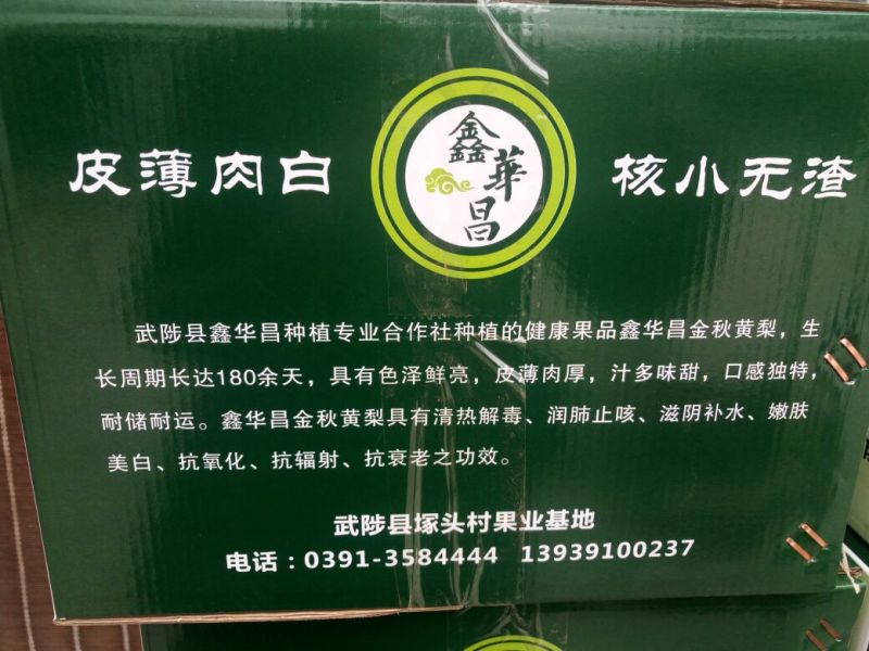 晚秋黄梨300~350g纸袋