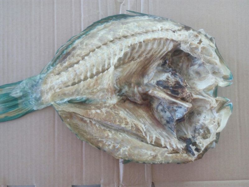 鱼干