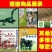 驴苗