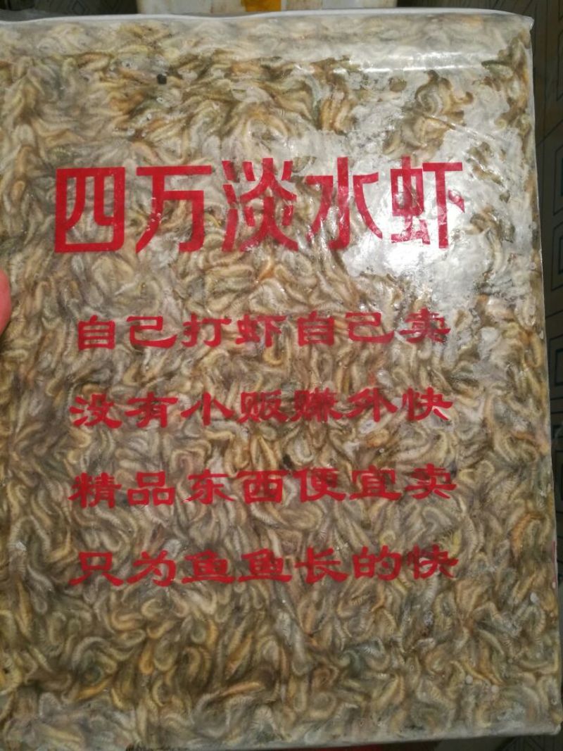 青虾食用26~30只/kg