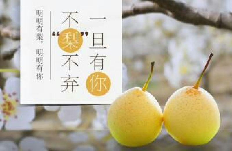 鸭梨200~250g纸袋