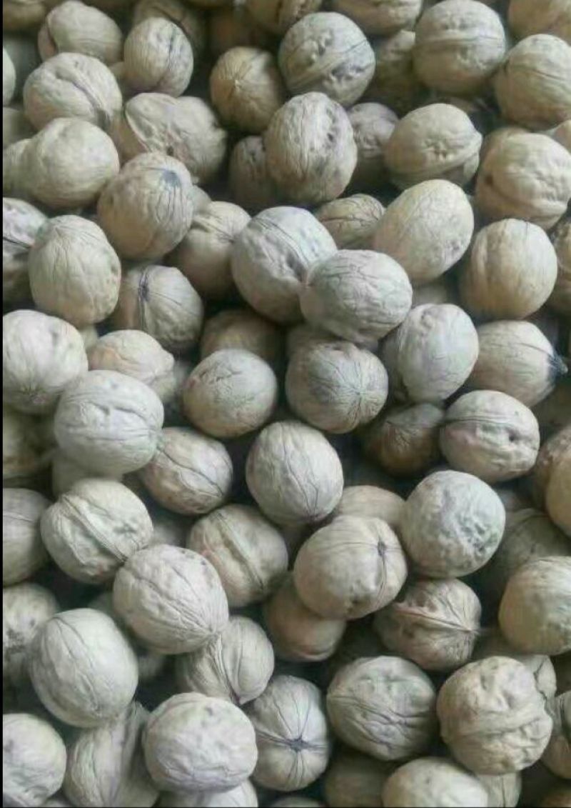 薄皮核桃去皮干