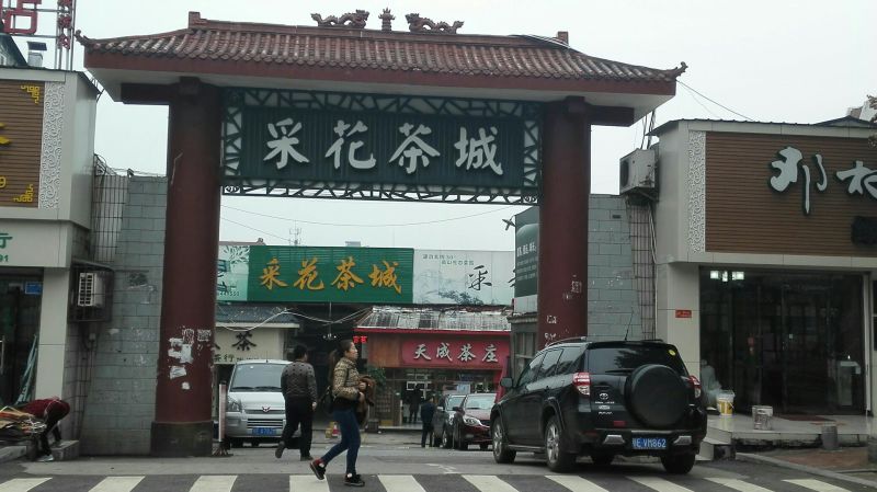 五峰绿茶