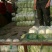 【热卖】精品黄心菜白菜4~6斤，价格便宜，现货批发