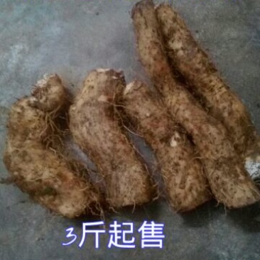 山药5~6厘米25~30厘米特级