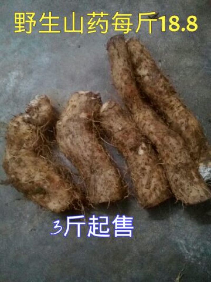 山药5~6厘米25~30厘米特级