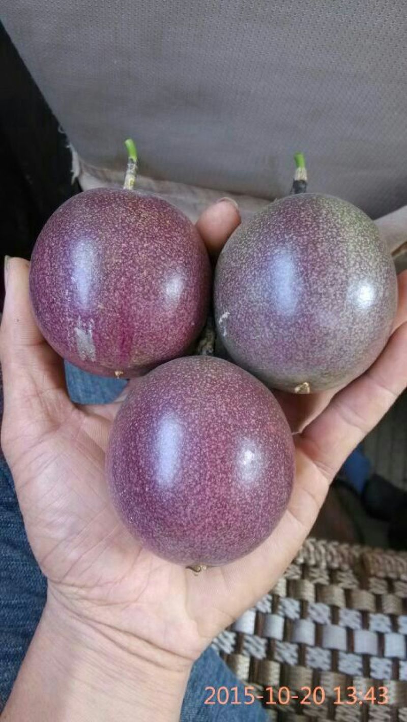 百香果