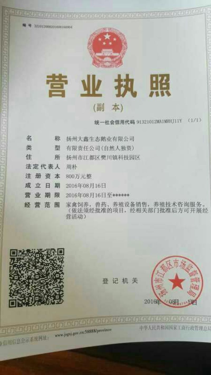 朗德鹅苗250g