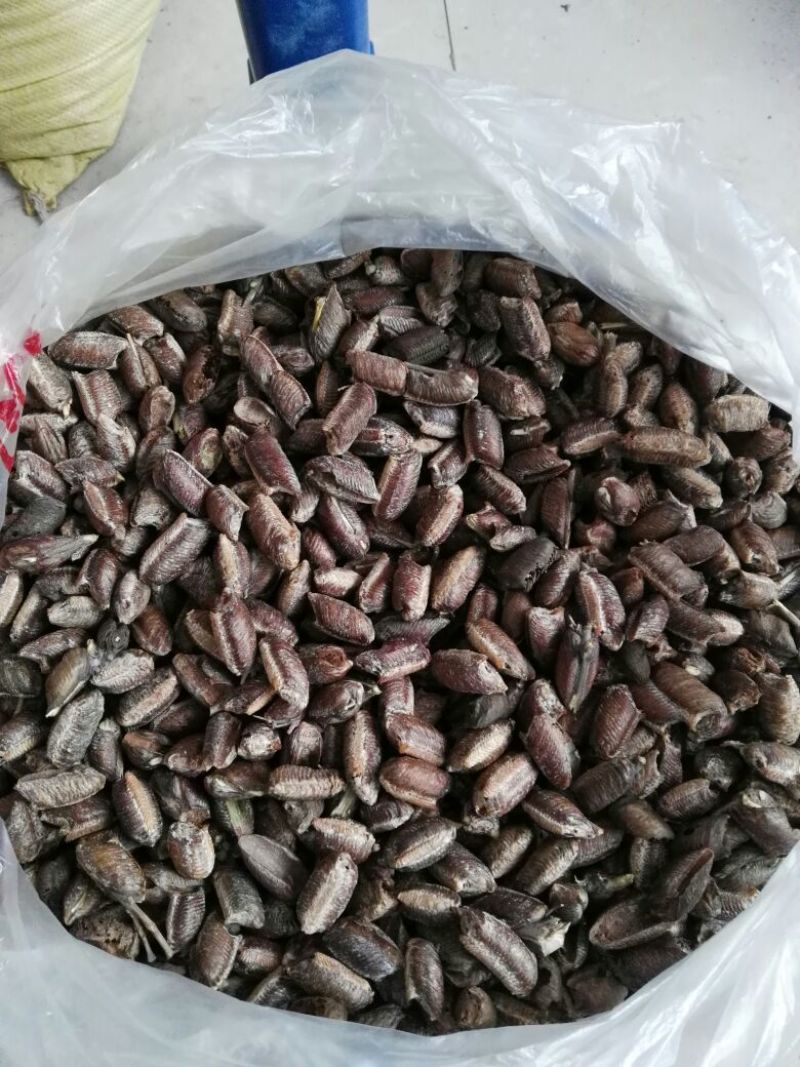 中药材