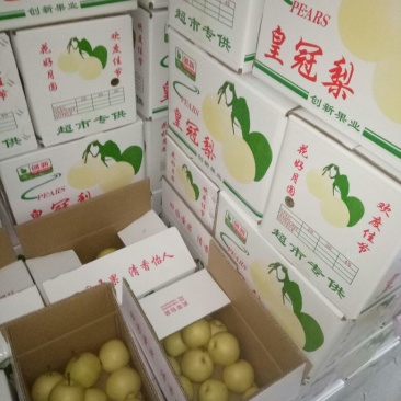 皇冠梨200~250g纸袋