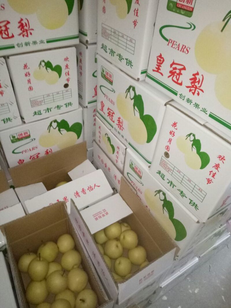 皇冠梨200~250g纸袋