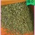 石阡苔茶特级