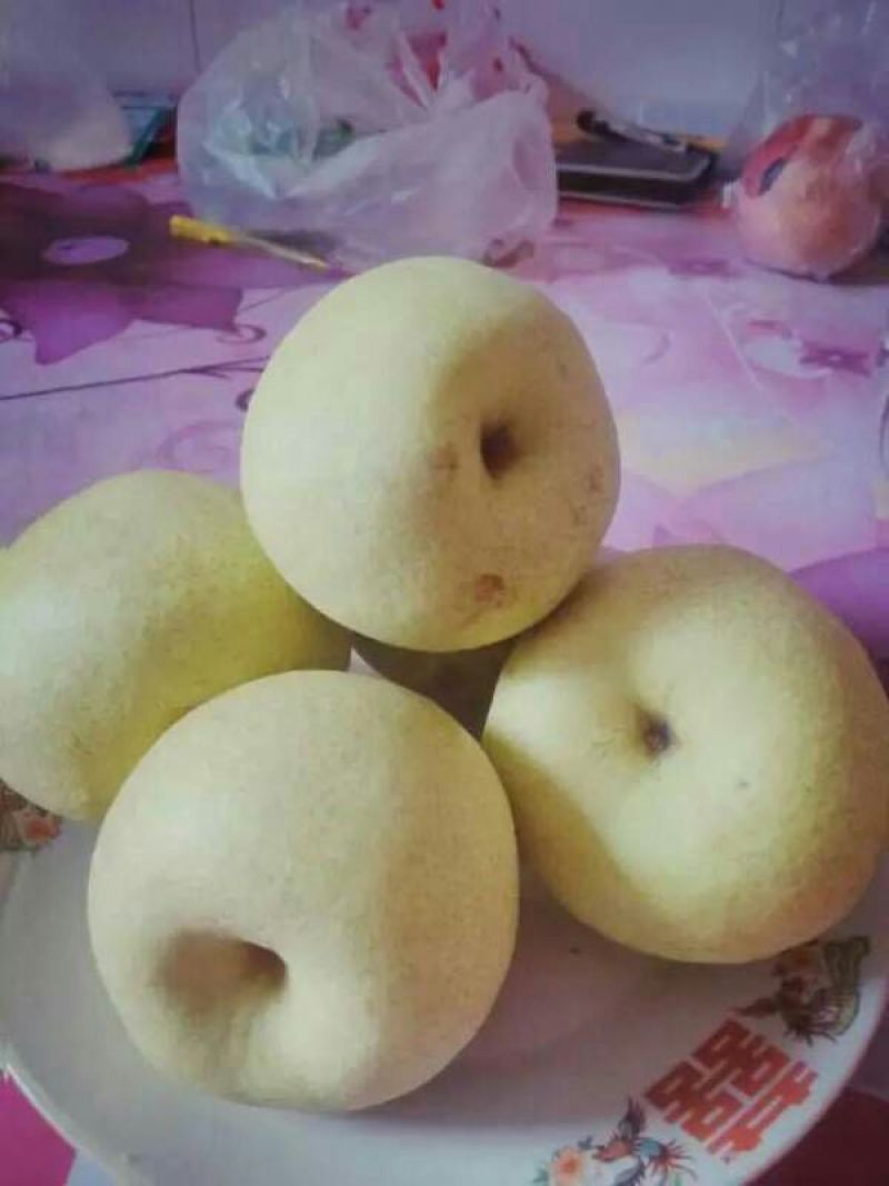 酥梨150~200g光果