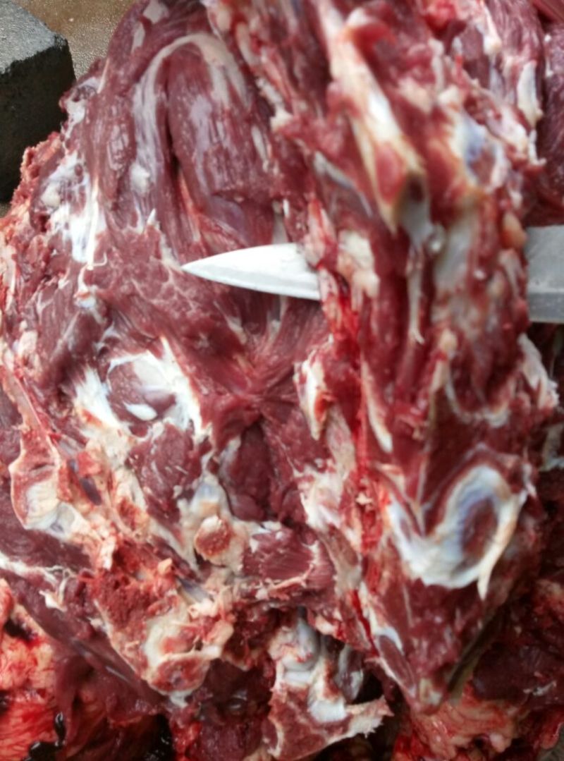 驴肉鲜货
