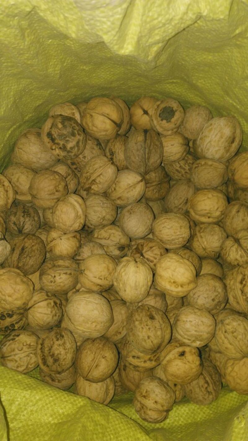 绵核桃去皮干