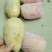 新土豆兴佳2号黄皮黄心专业代办产地直供