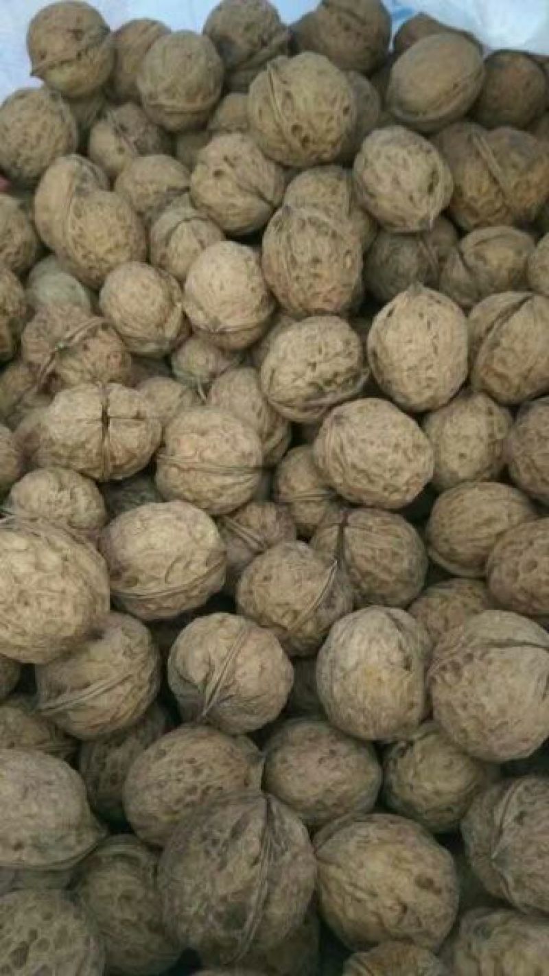 纸皮核桃25mm以下去皮干