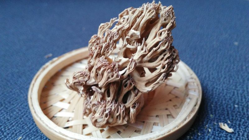珊瑚菌鹿茸菇野生菌干货
