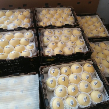 皇冠梨250~300g纸箱