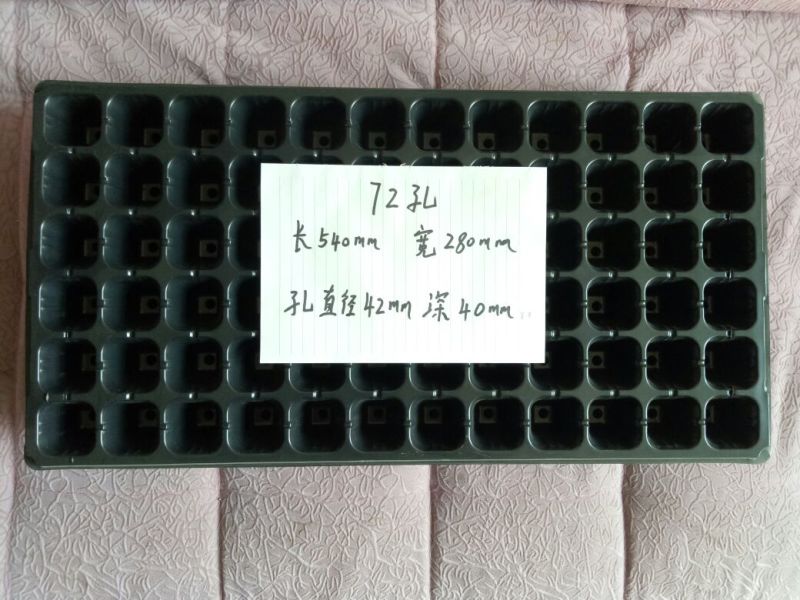 穴盘72孔