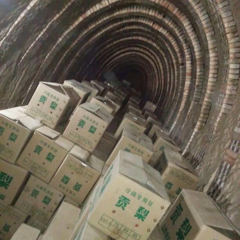 酥梨300~350g纸袋