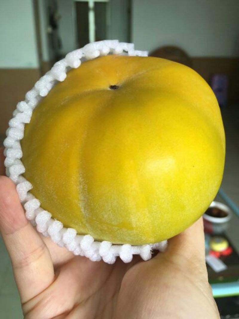 富有甜柿200克以上