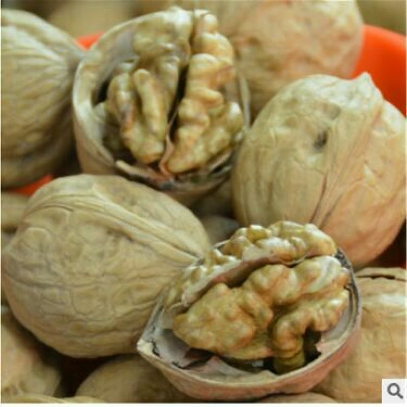 纸皮核桃去皮干