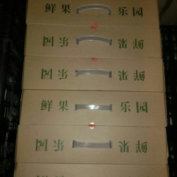 玉露香400~450g纸箱