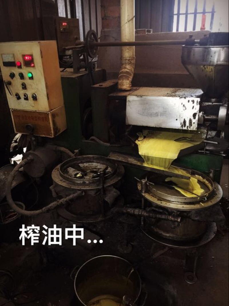 菜油