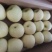 贡梨纸袋250~300g规格齐全大量上市价格优惠
