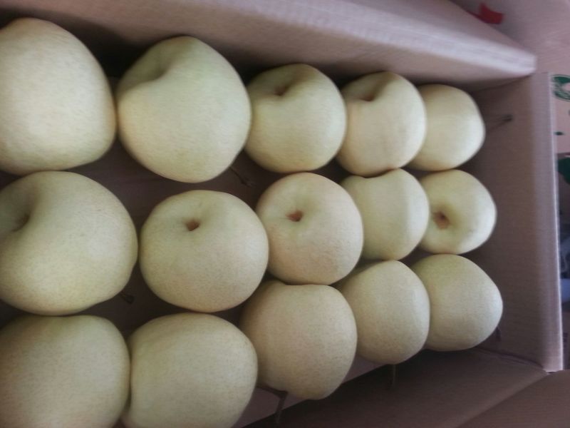 贡梨纸袋250~300g规格齐全大量上市价格优惠