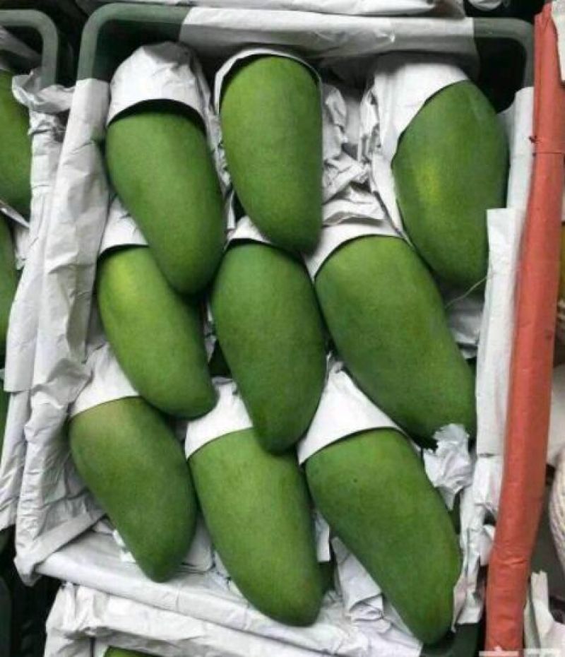 精品大青芒10量以上！口感香甜无酸！果肉细腻，粗纤维少