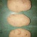 土豆