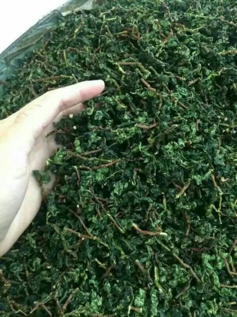 观音茶特级