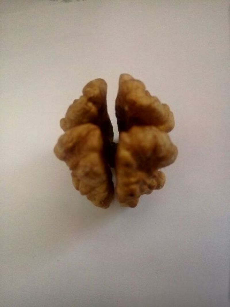薄皮核桃去皮