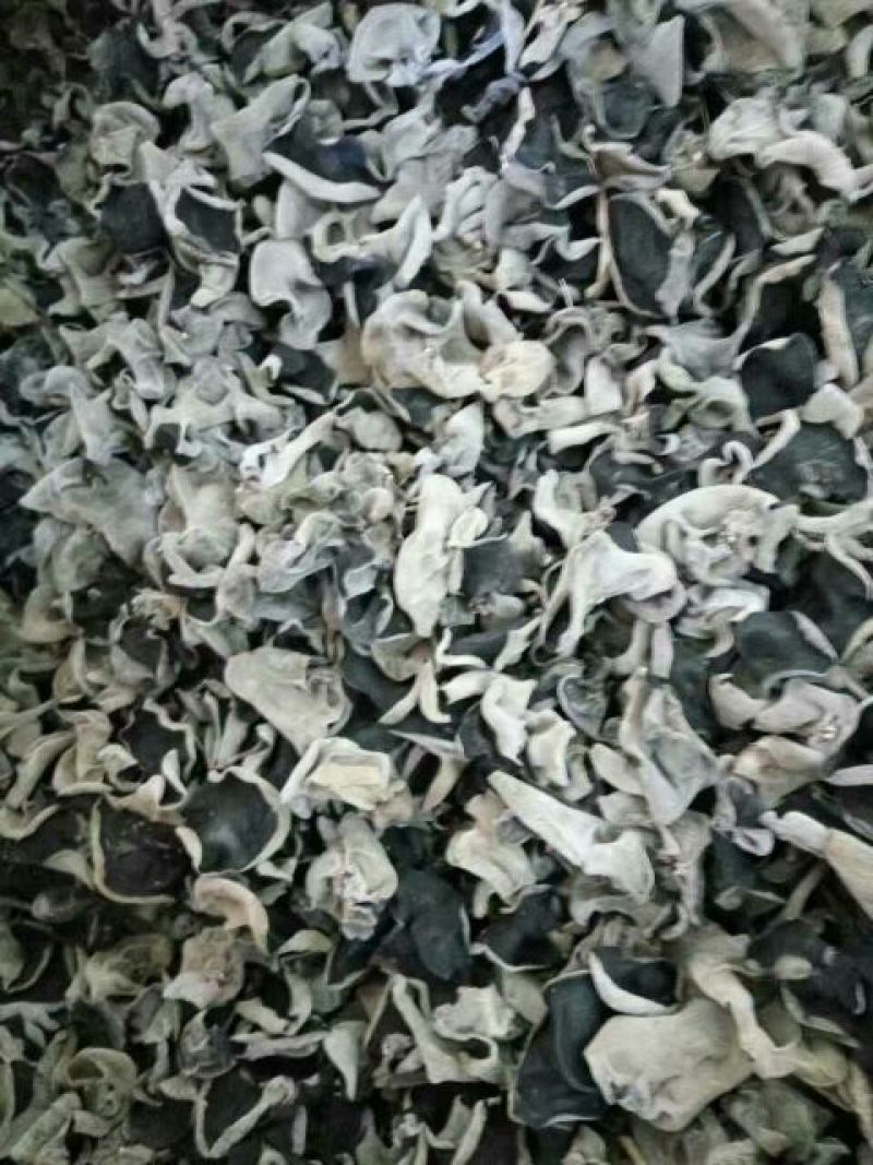 黑木耳一级