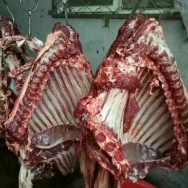 驴肉鲜货