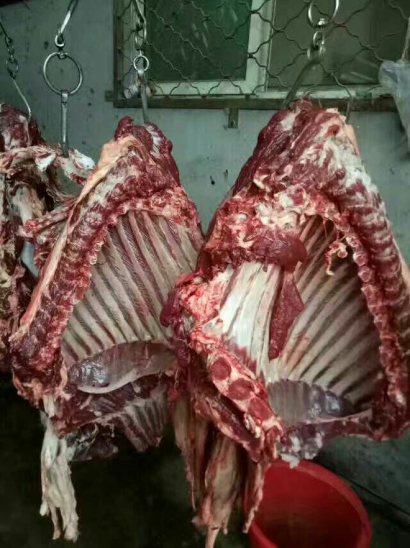 驴肉鲜货