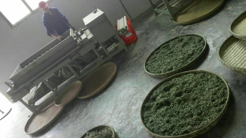 石阡苔茶特级