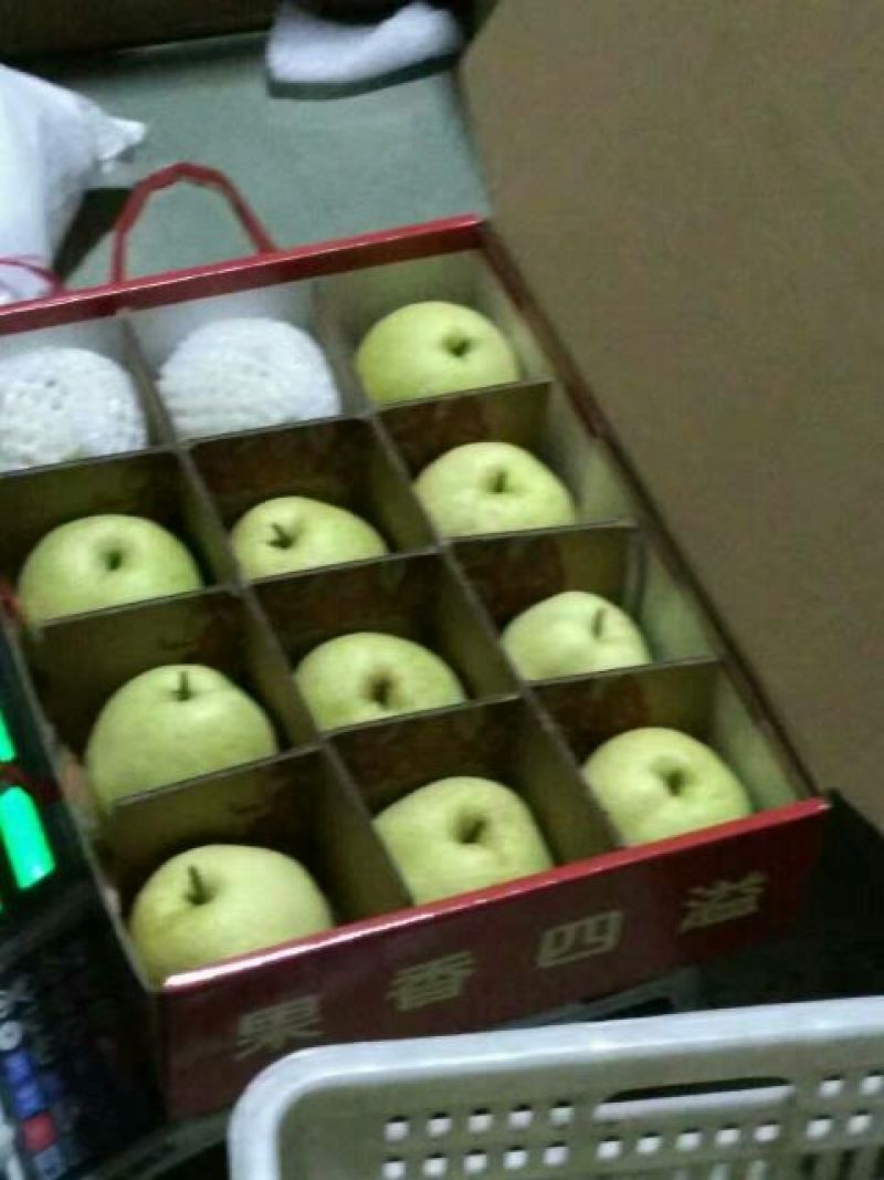 酥梨300~350g膜袋