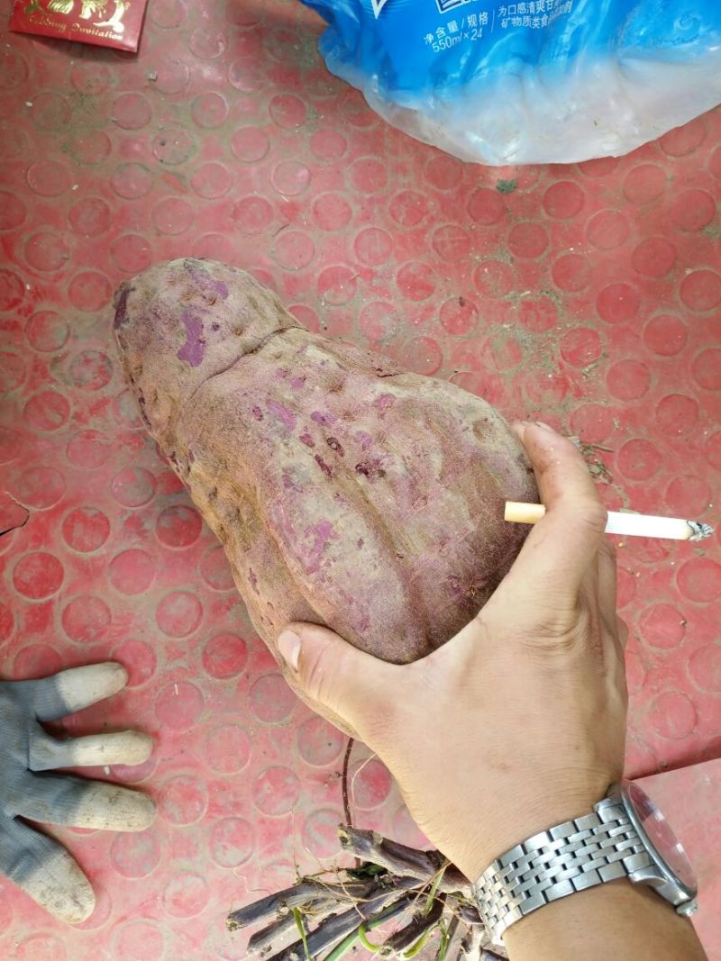 红薯淀粉袋装