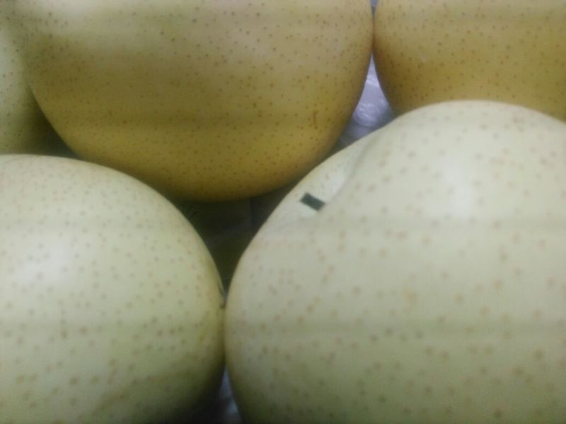 皇冠梨500~550g光果
