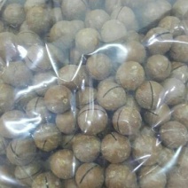 夏威夷果带壳