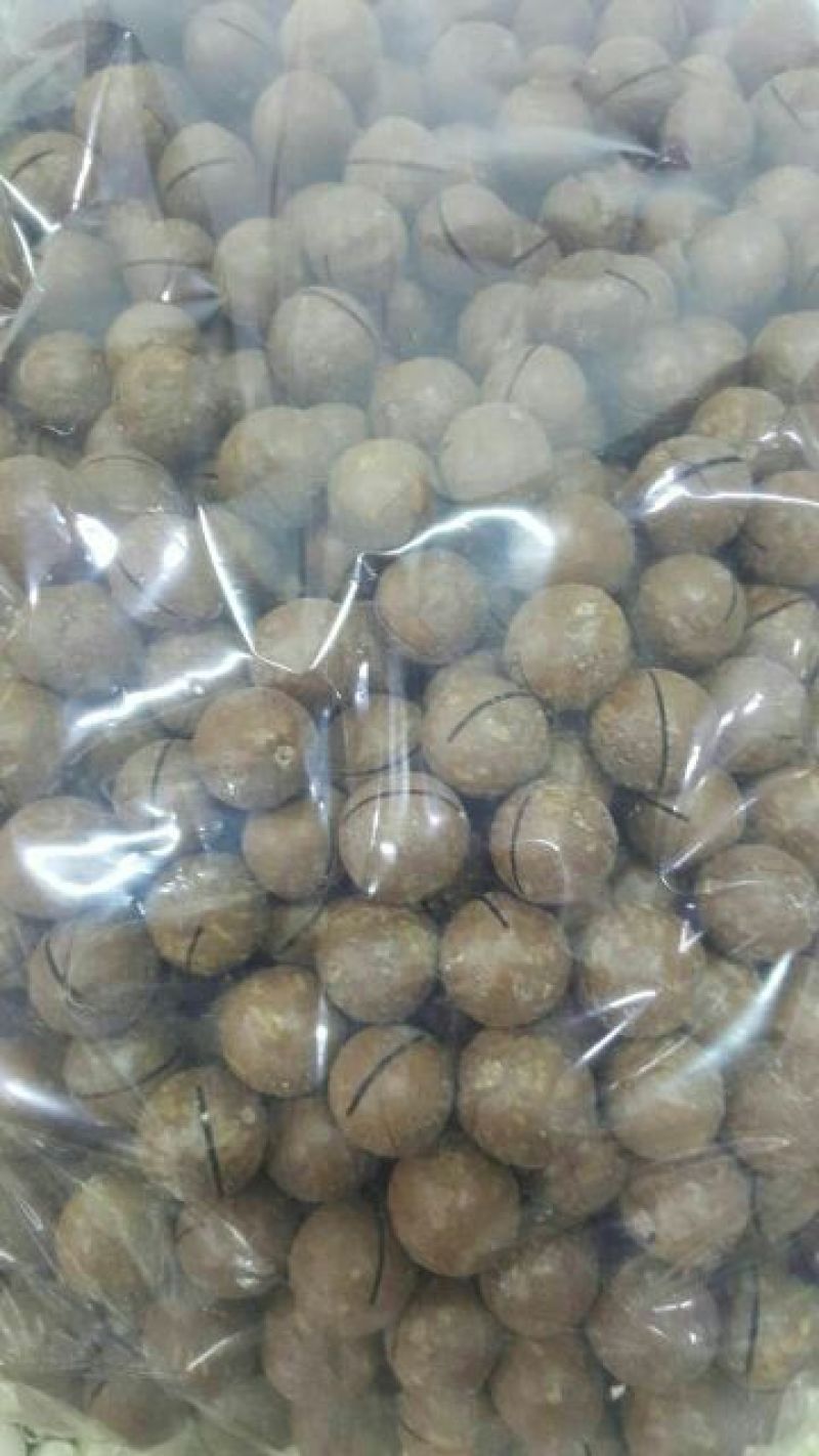 夏威夷果带壳
