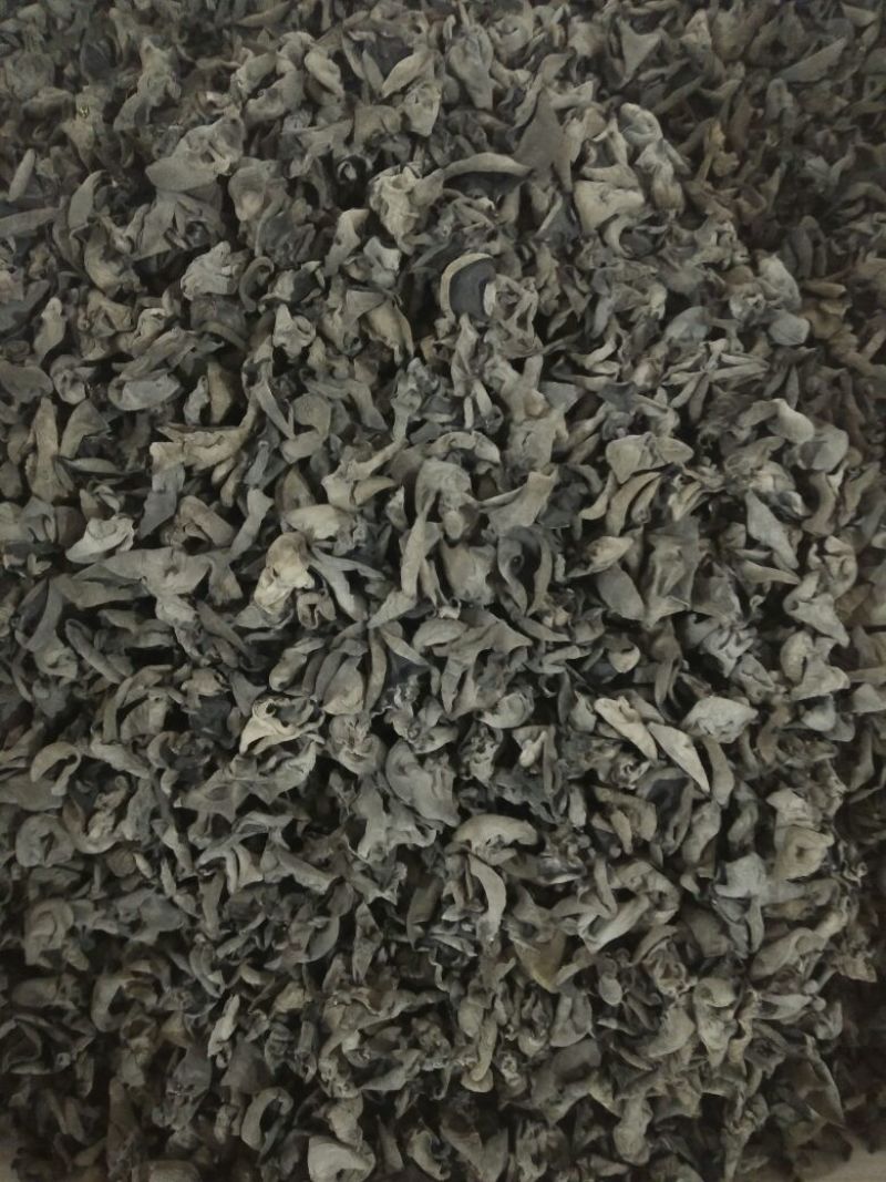 黑木耳一级