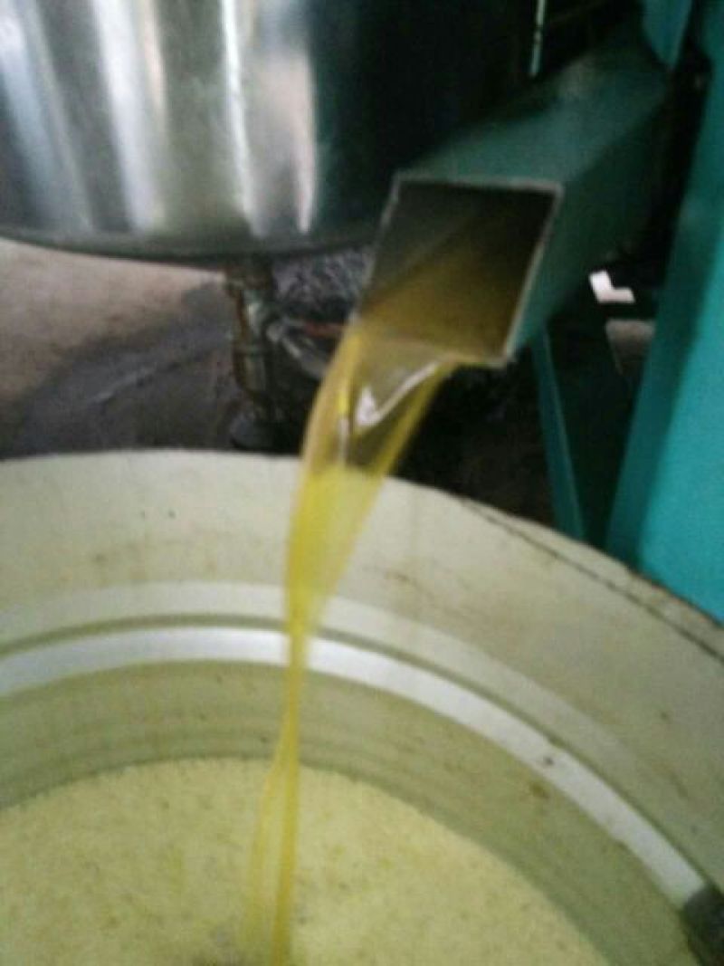 湖北精选定包优质油菜籽常年供应，货源充足