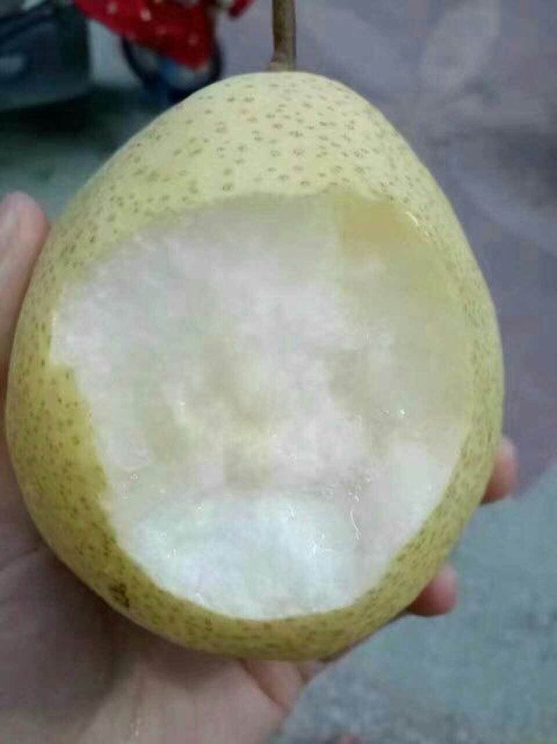 贡梨350~400g纸箱